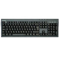 CHICONY klávesnice KB-9810 PS2 CZ/US černá