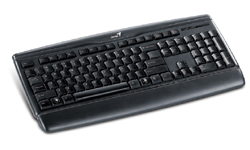 GENIUS klávesnice KB-120 PS2 black