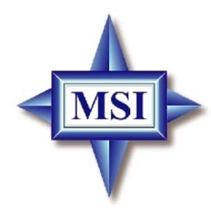 MSI brašna pro NB X320/X340, černá