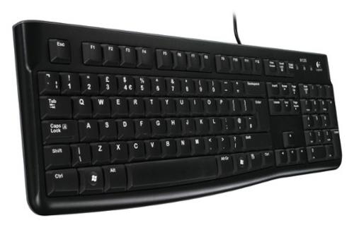 LOGITECH klávesnice K120, CZ+SK, USB černá