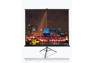 ES ELITE SCREENS T99UWS1 178x178cm