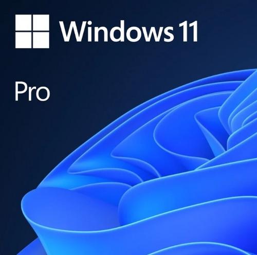 MICROSOFT Windows 11 Pro 64-bit ENG DVD OEM - AGEMcz