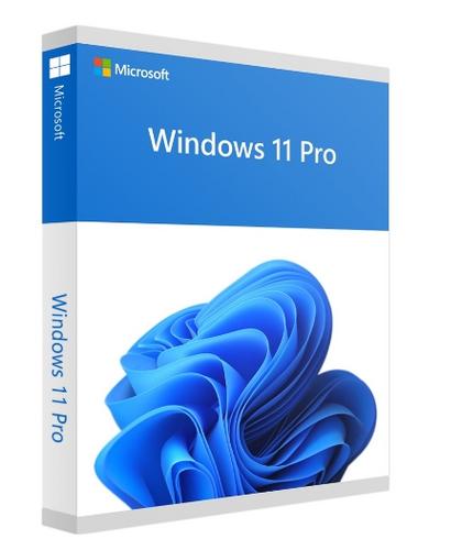 MICROSOFT Windows 11 Pro 64-bit FR DVD OEM - AGEMcz
