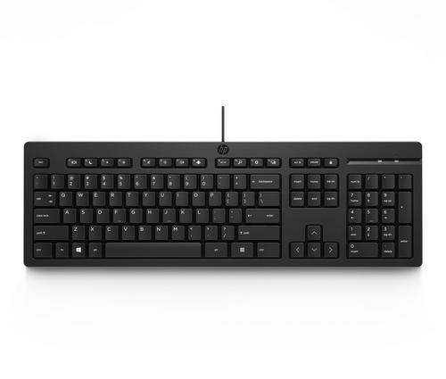 HP klávesnice HP 125 G2 Wired USB Keyboard - CZ/SK, black - AGEMcz